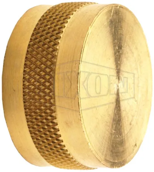 Garden Hose fittings hose cap brass