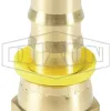 Female 45° SAE Swivel x Push-on Hose Barb