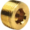 hex-socket-plug_2191600c_color_lg_watermarked