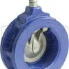 single-wafer-check-valve-iron_scxxxmm_color_lg_watermarked.jpg