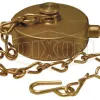 Domestic Brass Pin Lug Cap